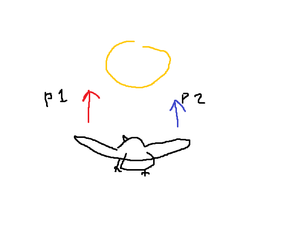birdgame_concept